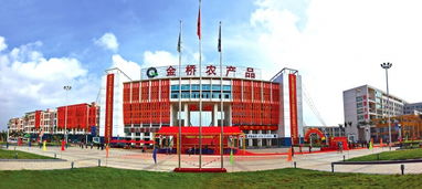 財富寶地金橋市場,成投資者首選