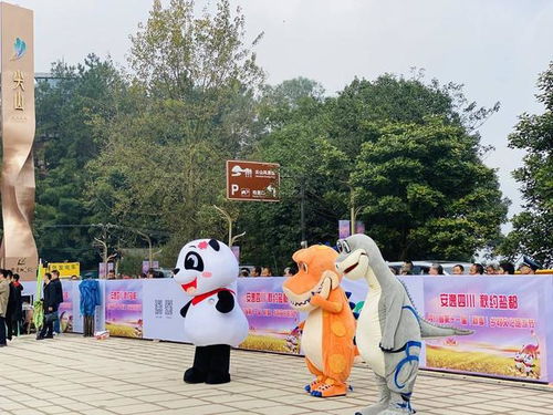 打造成渝地區特色消費目的地 四川自貢推介文旅和農業項目